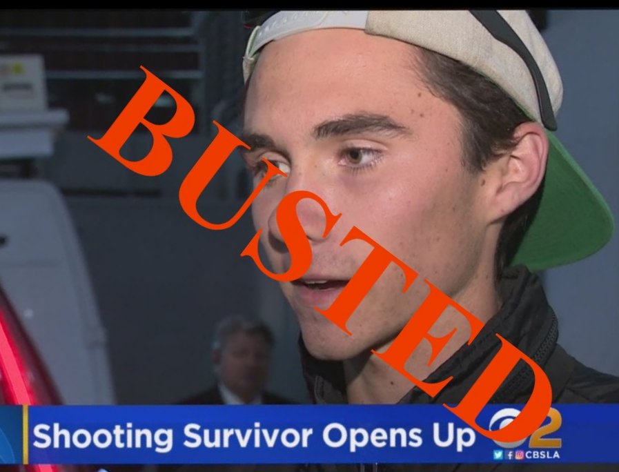 david hogg fake