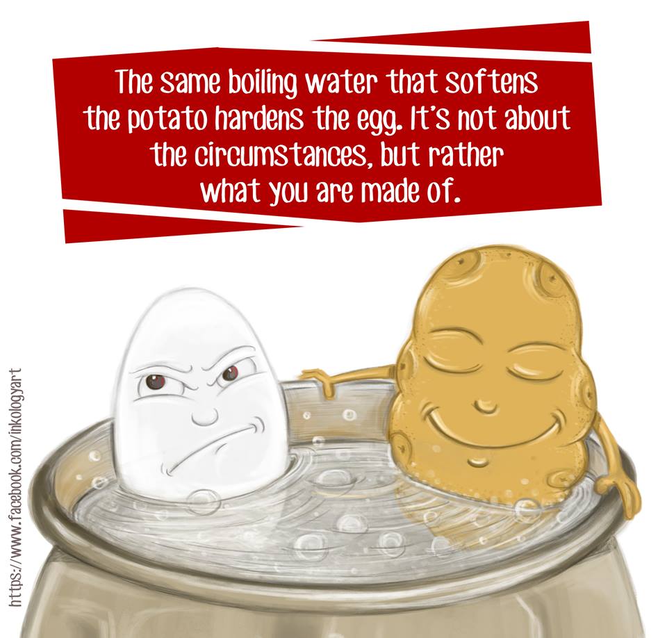 10451652_860329534005248_2464617012639254463_n