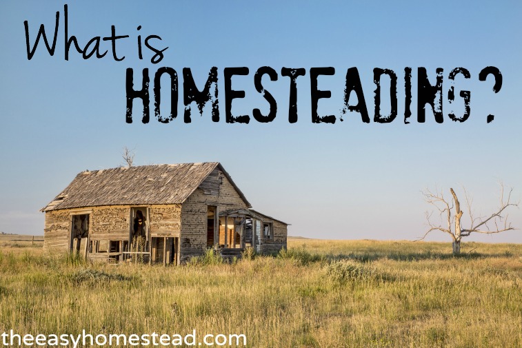 What-is-Homesteading-The-Easy-Homestead-.com_