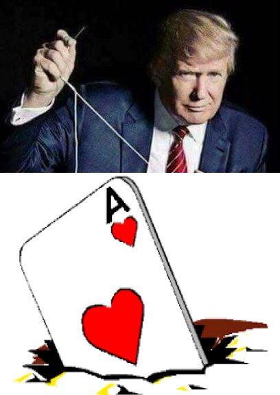 ace in hole trump