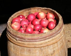 apple_barrel