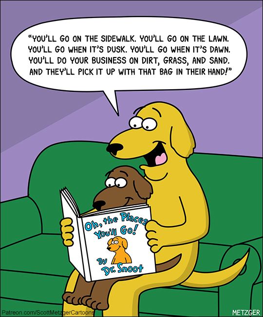 89018955_3022904167740241_5884679827784466432_n